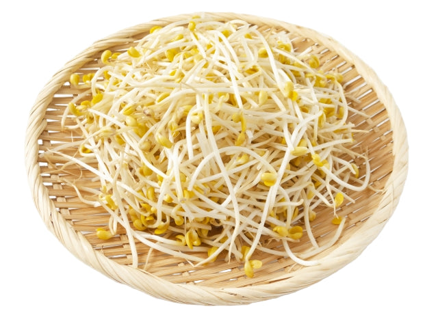 [Soja Gang] Soyasprossen (Konamul) 3kg