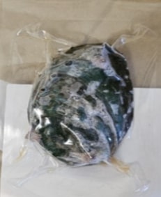 Abalone, KR, (1pcs) 10x55g